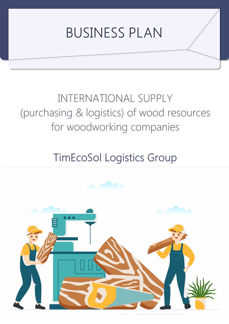 бизнес план TimEcoSol Logistics Group