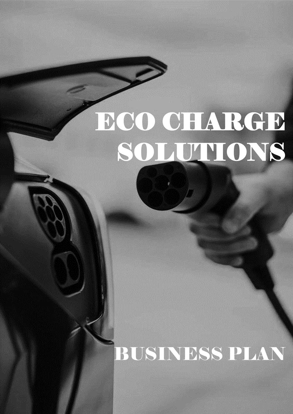 бизнес план Eco Charge Solutions
